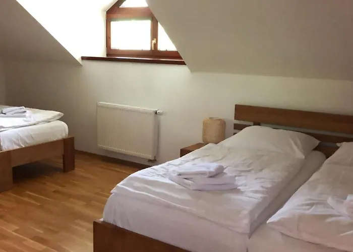 Obora 824 Nová Bystřice